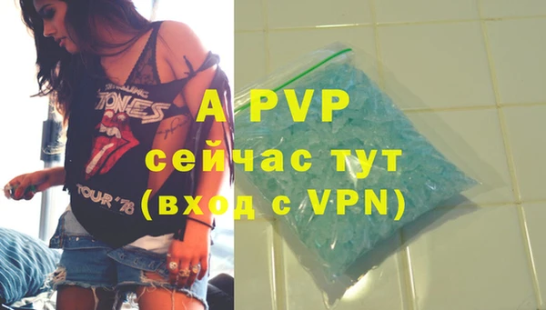гидра Дмитров
