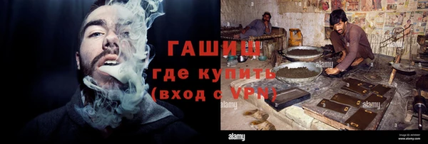 гидра Заводоуковск