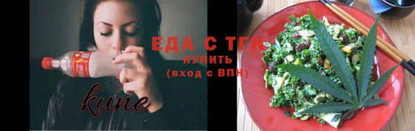 гидра Заводоуковск