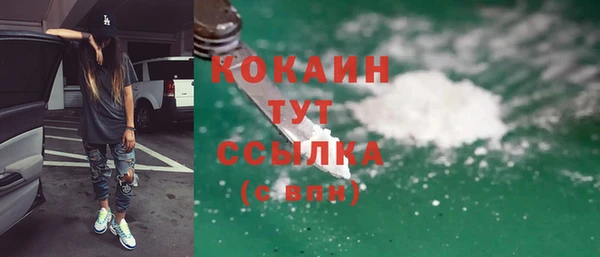 сатива Дмитриев