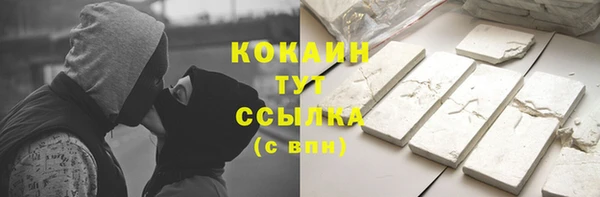 сатива Дмитриев