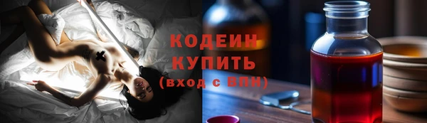 гидра Заводоуковск