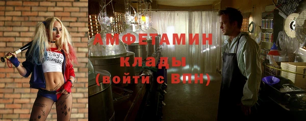 сатива Дмитриев