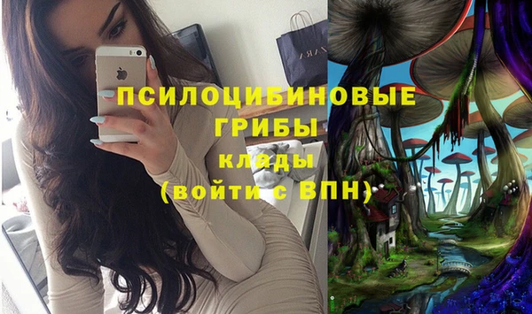 гидра Дмитров